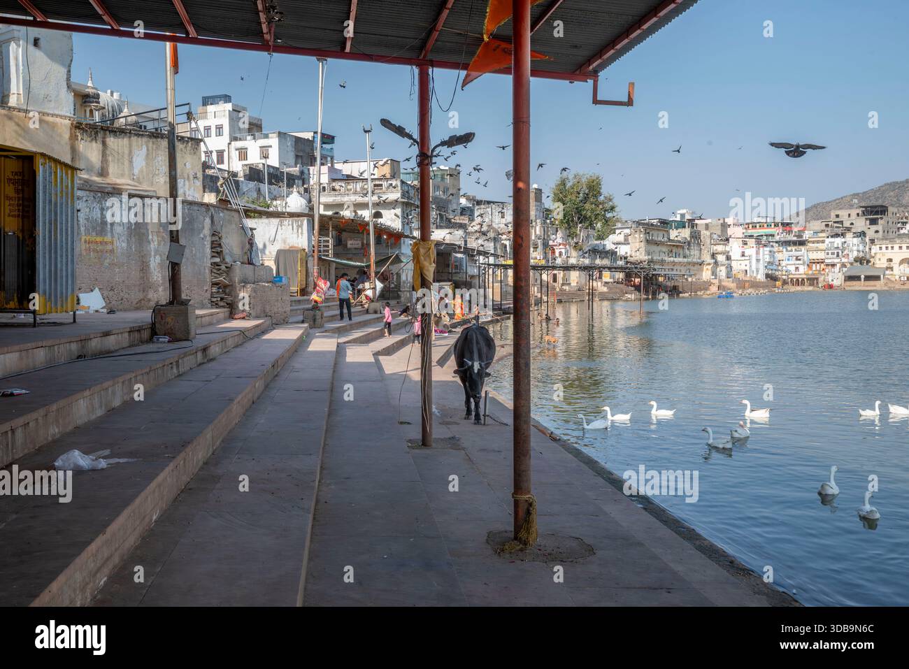 Ghati del lago Pushkar, Rajasthan, India Foto Stock