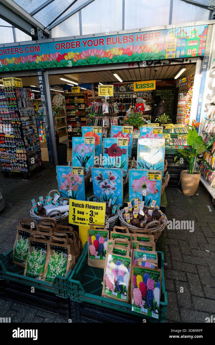 Una vivace banchina di mercato espone in vendita varie lampadine da fiore, con confezioni e cartelli accattivanti. I clienti possono scegliere tra un'ampia gamma di opzioni Foto Stock