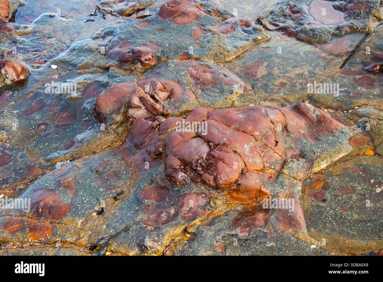 Livelli variabili di ossido di ferro depositati nelle Oxford Clays nell'ambiente di acque profonde si traducono in macchie rosse e marroni all'interno dei fanghi. Foto Stock