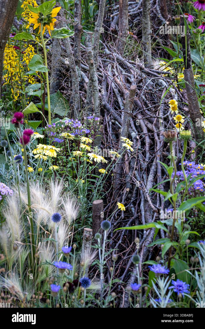 Il giardino confina con una siepe morta che si snoda attraverso la piantagione, per proteggere insetti e fauna selvatica Foto Stock