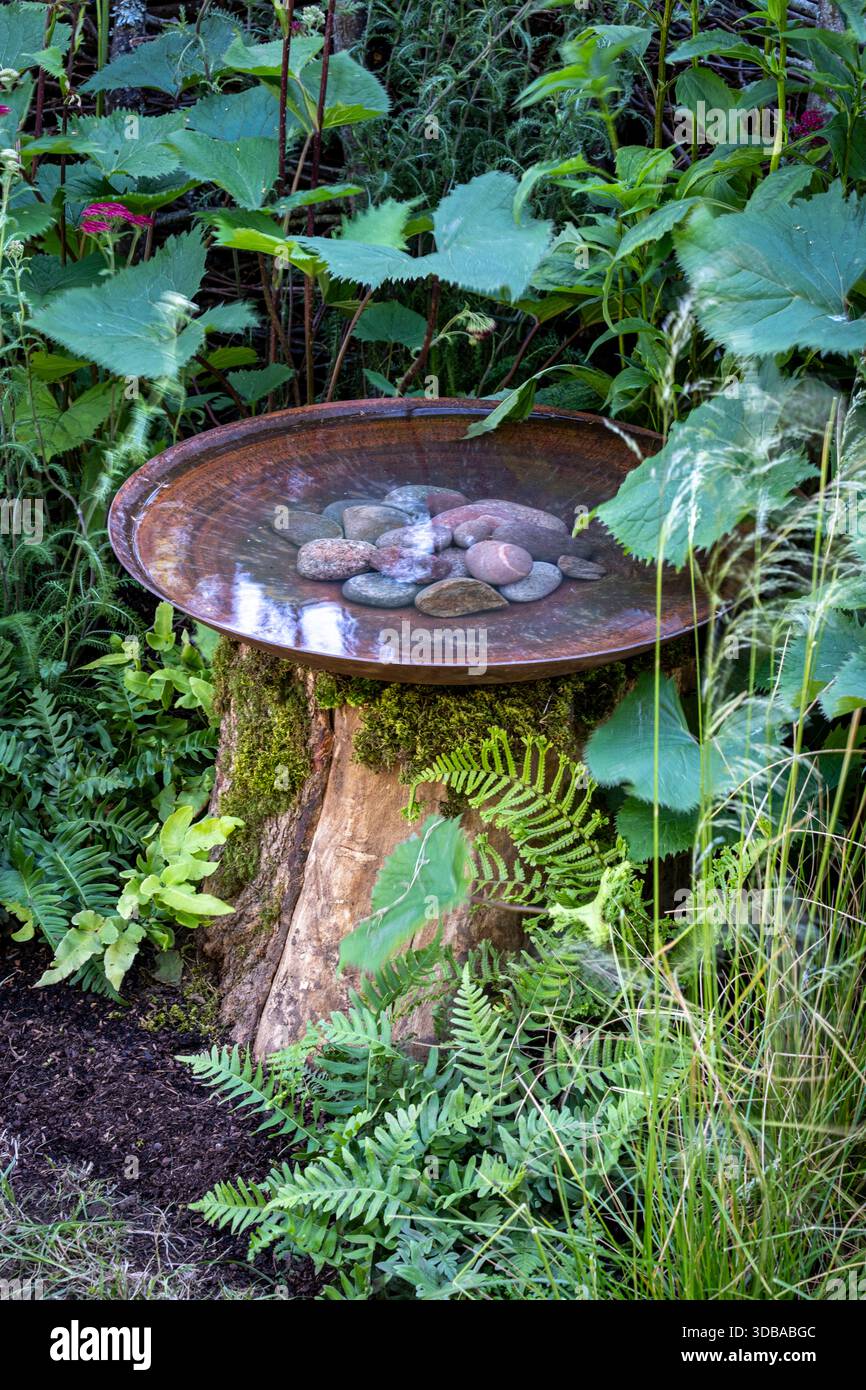 Piatto di metallo arrugginito in cima al vecchio tronco dell'albero, utilizzato come bagno per uccelli da giardino Foto Stock