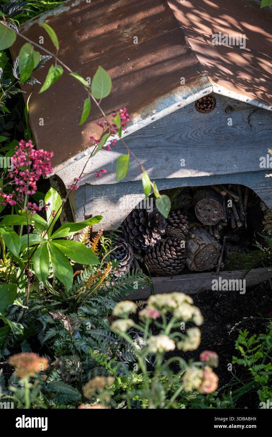 Hotel per insetti o insetti, al confine con il giardino. Utilizzo di cuochi e bastoncini come riparo per insetti. Foto Stock
