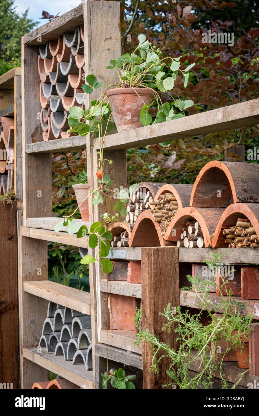 Hotel per insetti o insetti, costruito come un muro di legno rialzato, utilizzando pentole e tubature riciclate. Foto Stock