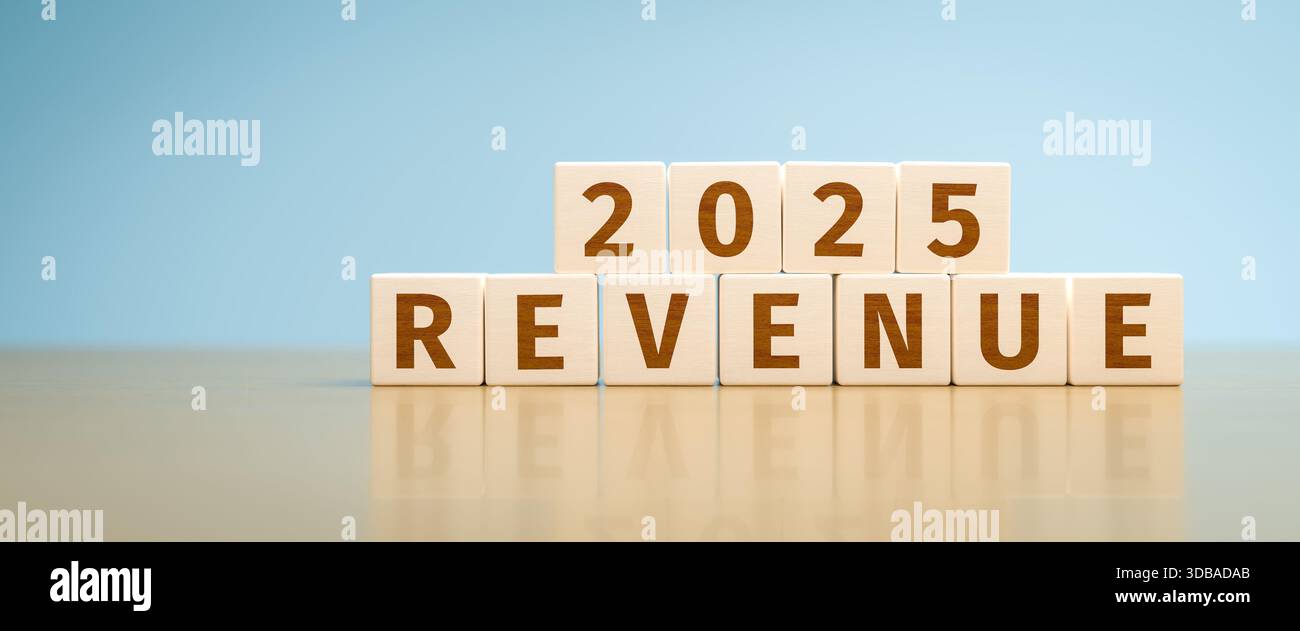 Cubi di giocattoli in legno che formano il testo "ENTRATE 2025”. Concetto di ricavi, utili, proventi, utili raggiunti o previsti per l'anno 2025 di un'organizzazione Foto Stock