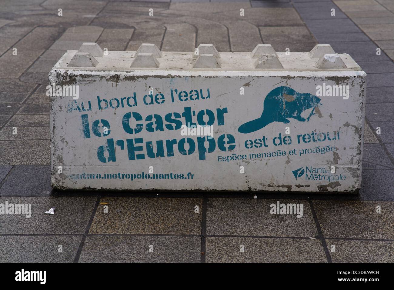 Barriera stradale in cemento con messaggio ambientale francese sul castoro europeo a Nantes, Francia. Nantes, Francia Foto Stock
