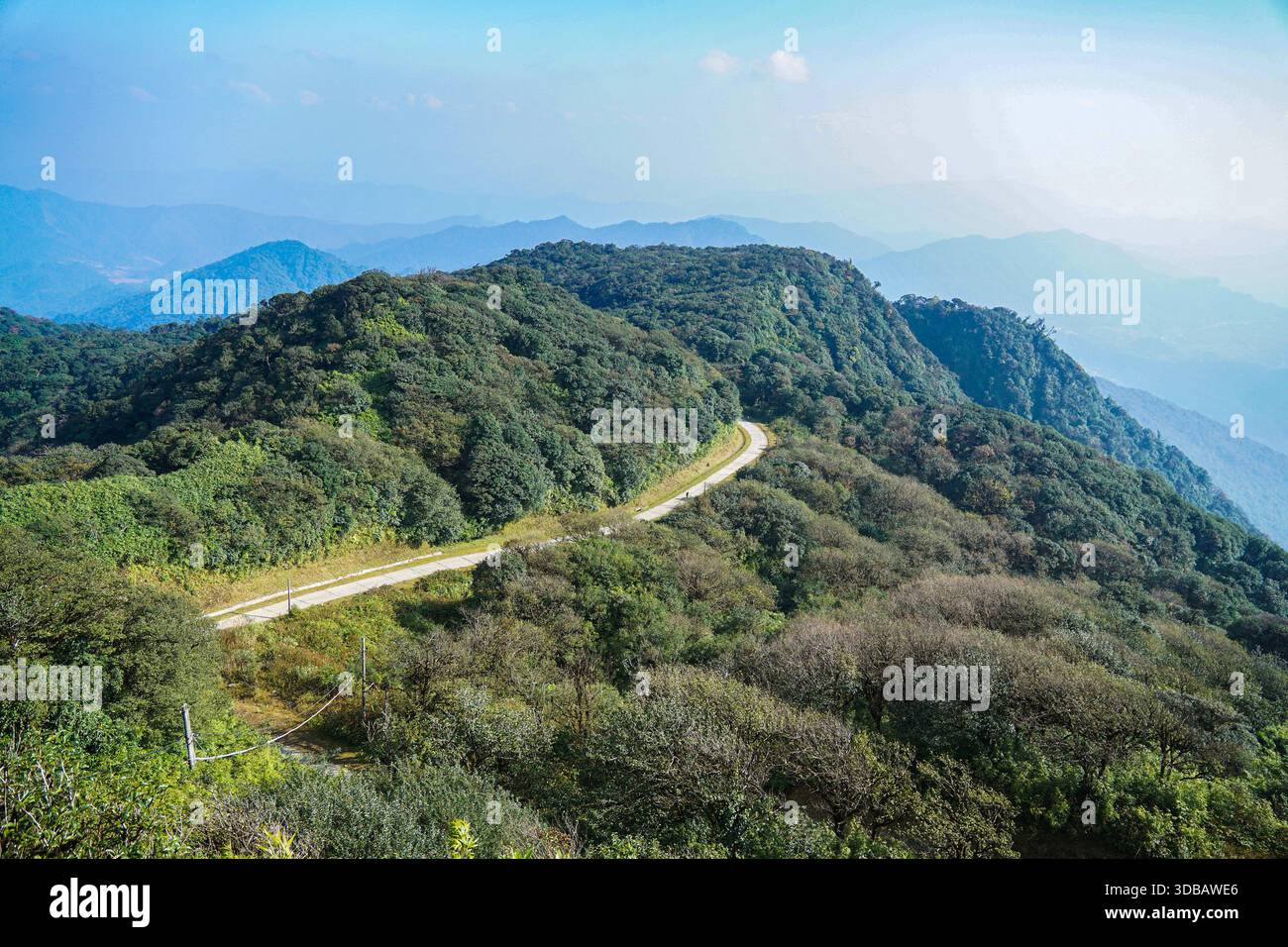 Tortuosa strada di montagna attraverso lussureggianti foreste verdi e cime nebbiose sotto un cielo blu limpido, che offre un paesaggio naturale sereno e maestoso. Foto Stock