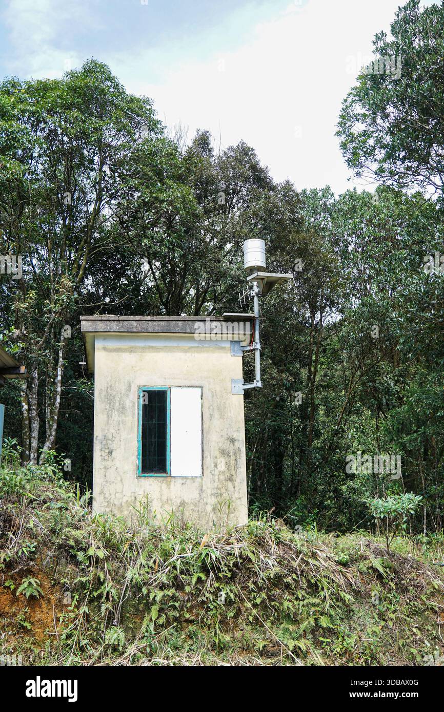 Stazione meteorologica in una lussureggiante foresta verde, che misura le precipitazioni e i dati atmosferici. Foto Stock