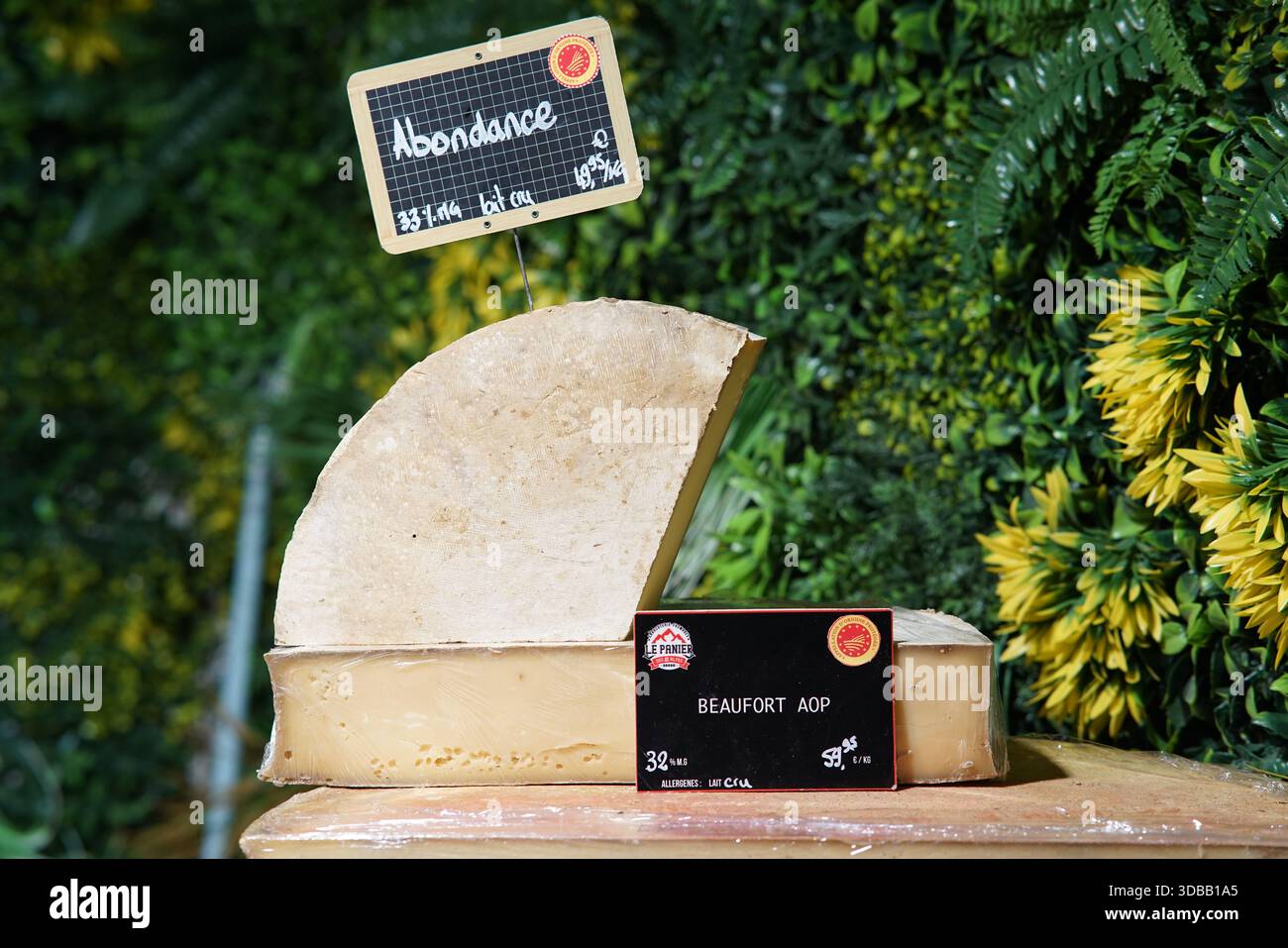 Ampia fetta di formaggio francese Beaufort AOP in esposizione con etichetta e vegetazione sullo sfondo.Nantes, Francia Foto Stock