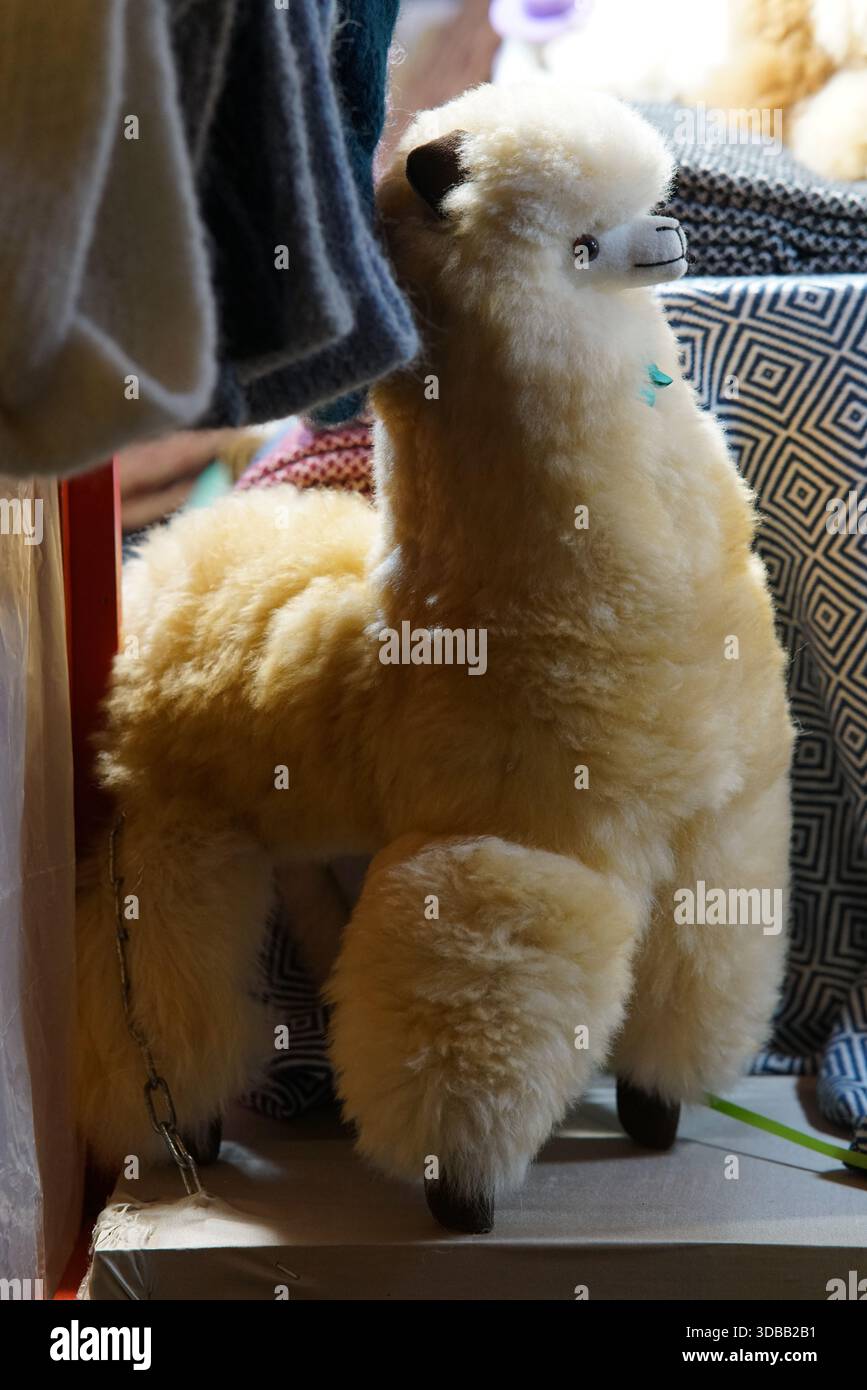 Soffice peluche di alpaca in mostra in una bancarella del mercato.Nantes, Francia Foto Stock
