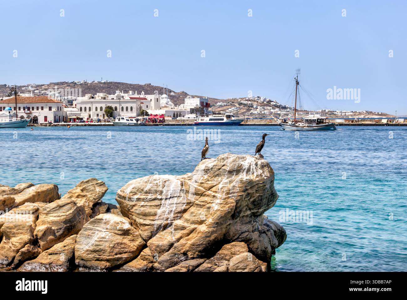 Comoranti lungo la costa rocciosa che si affaccia sul porto di Mykonos, Cicladi, Grecia. Foto Stock