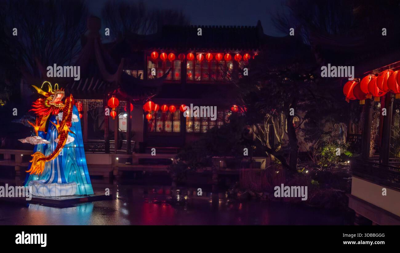 Vista della lanterna del drago illuminata che proietta un vibrante bagliore attraverso il tranquillo laghetto che riflette le lanterne rosse del giardino cinese, Portland, Oregon Foto Stock