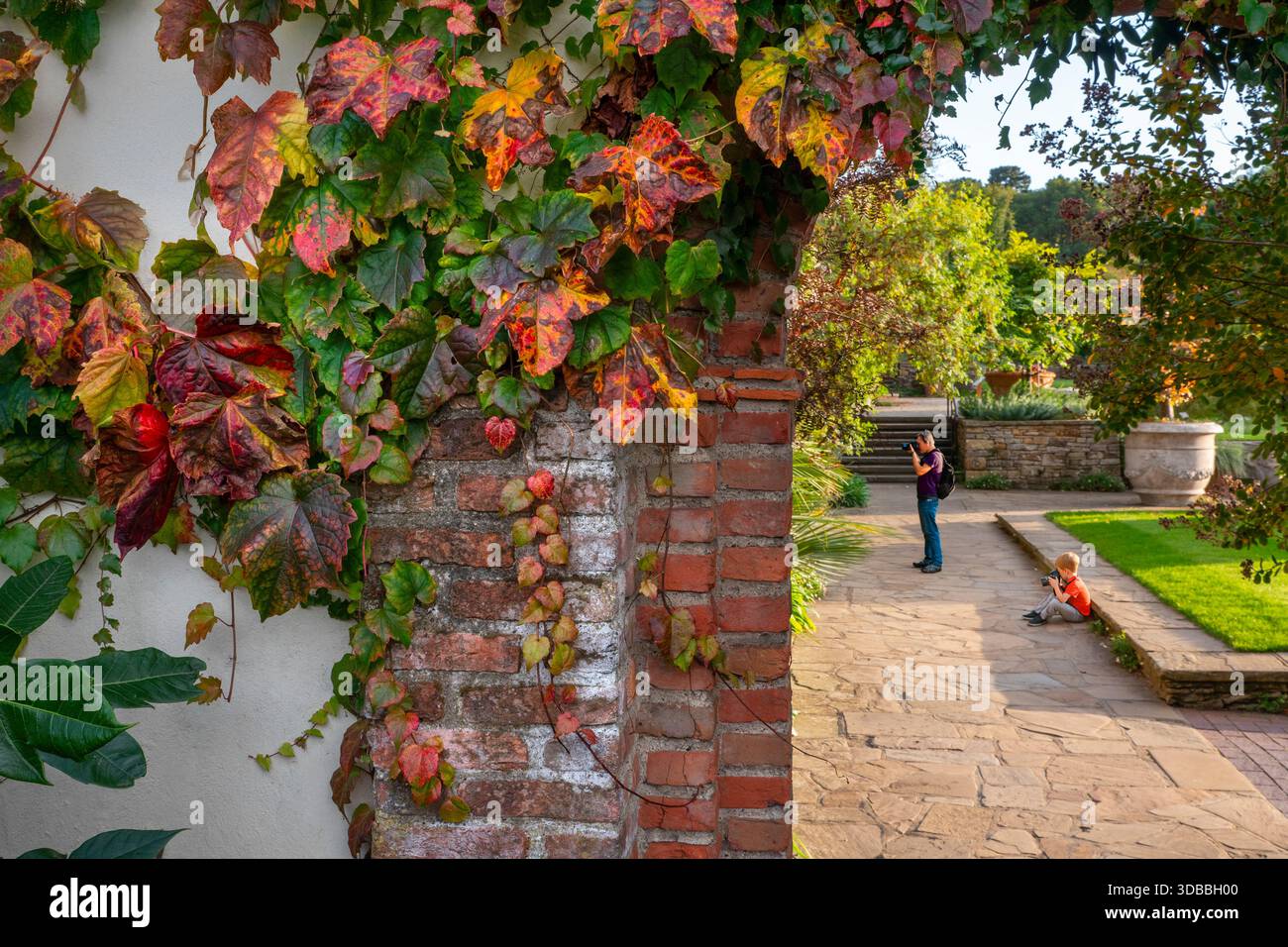 RHS Wisley padre e figlio insieme imparano e apprezzano la fotografia digitale con i colori intensi dei giardini orticoli autunnali Wisley Surrey Regno Unito Foto Stock