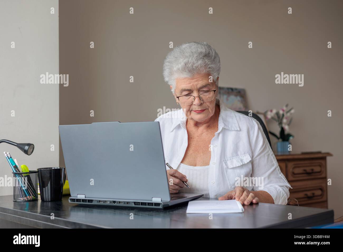Donna anziana che utilizza un notebook a casa, paga bollette e gestisce le finanze online. Persone anziane che imparano le competenze digitali, fanno viaggi di pianificazione bancaria, Foto Stock