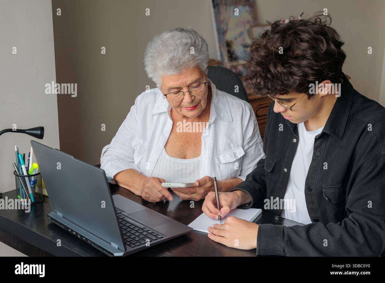 Nonna e nipote che utilizzano il laptop a casa per l'online banking, il pagamento delle fatture, la prenotazione di viaggi e l'apprendimento delle competenze digitali. Sostegno familiare, Foto Stock
