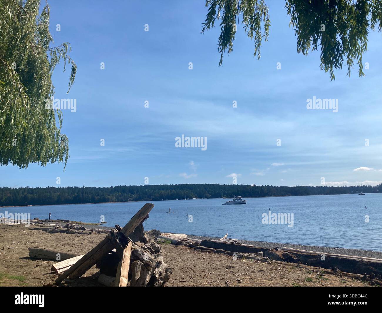 spiaggia sull'isola di Vancouver Foto Stock