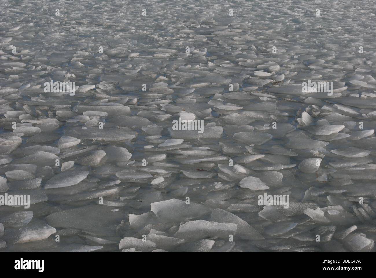 La superficie dell'acqua è ricoperta da aspri frammenti di ghiaccio a gennaio sul lago Foto Stock
