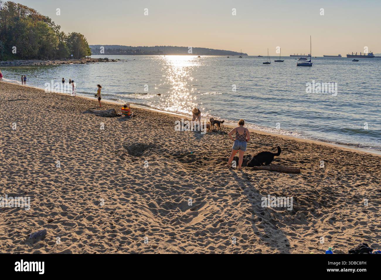 Vancouver, BC, Canada: 15 settembre 2025: Parco per cani sulla spiaggia nel quartiere del centro. Foto Stock