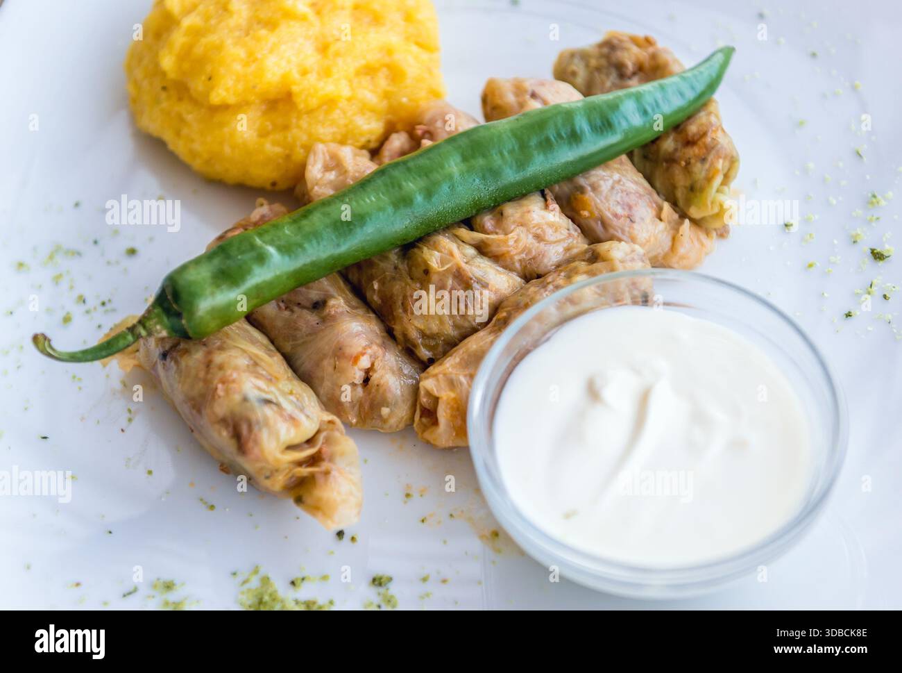 Cibo tradizionale in Romania - involtini di cavolo con mamaliga Foto Stock