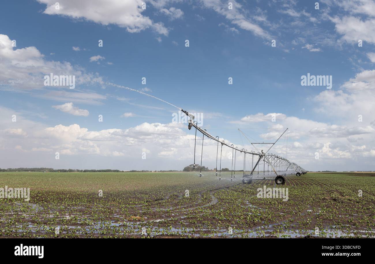 Sistema di irrigazione sprinkler automatico basato su GPS al lavoro per annaffiare il campo della soia Foto Stock