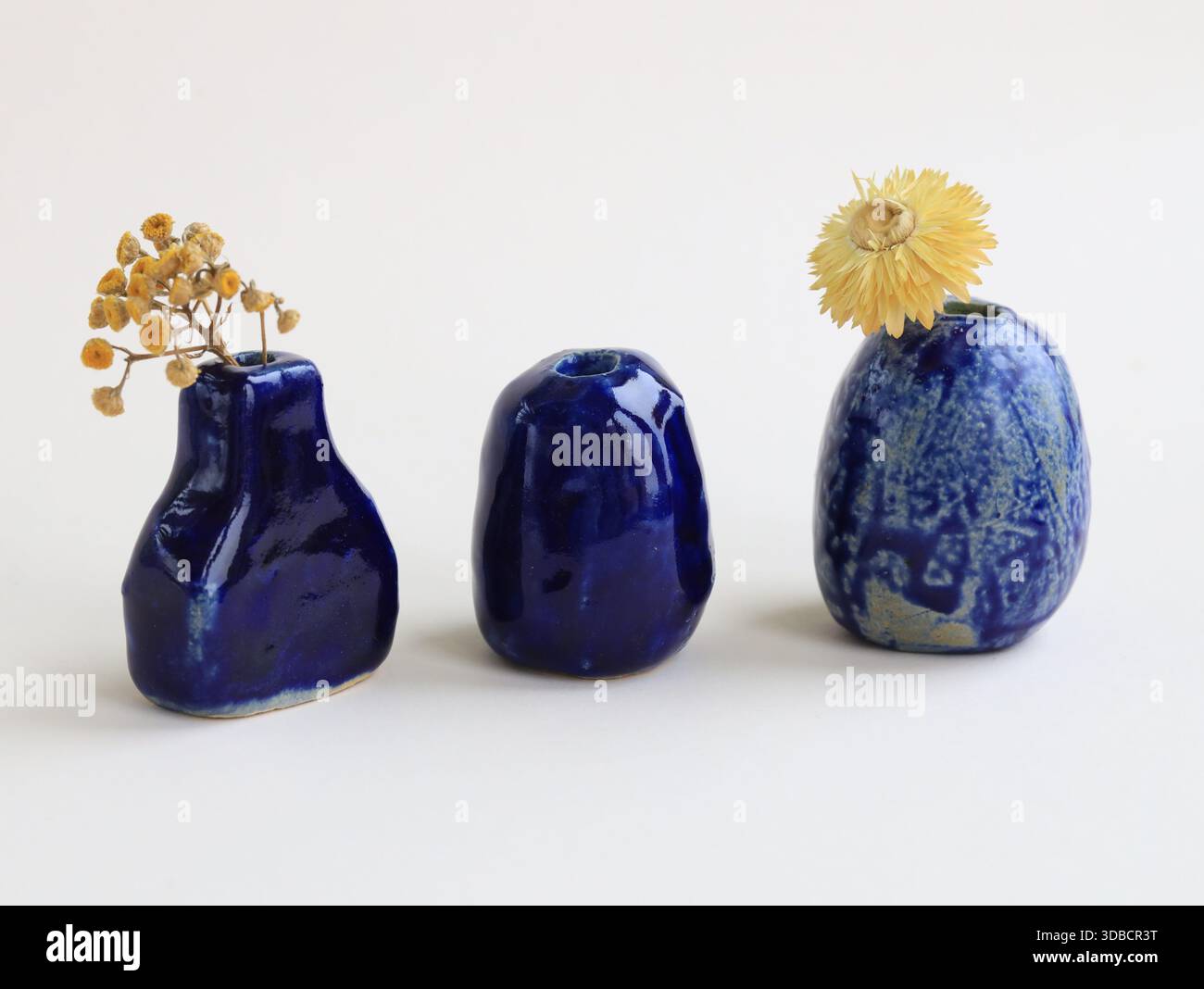 Studio minimalista Still Life con tre vasi in ceramica in miniatura fatti a mano con glassa blu e fiori secchi. Composizione pulita, scultorea Foto Stock
