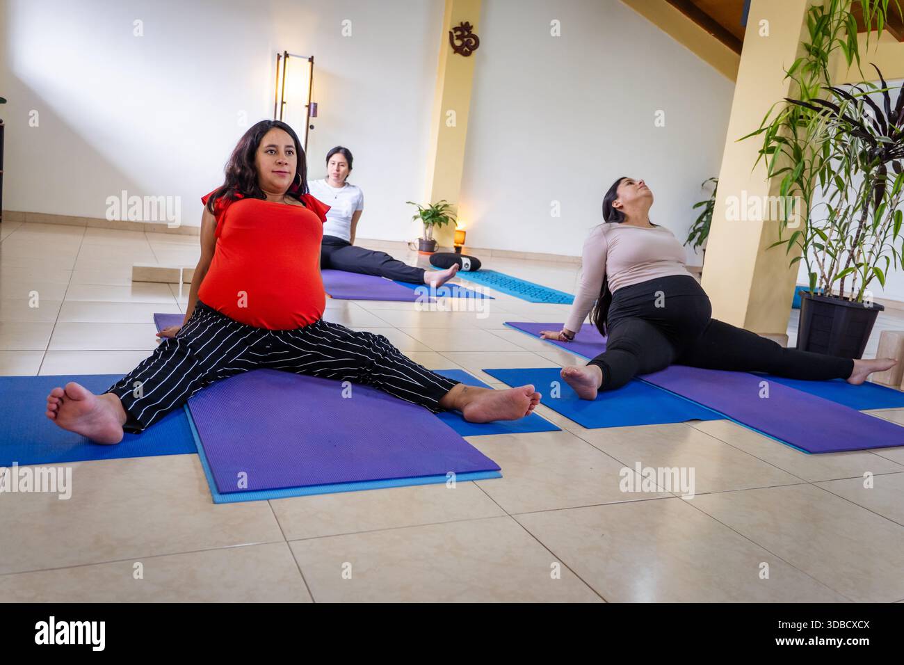 Donne incinte che si allenano e si allungano sui tappetini da yoga durante una lezione di benessere prenatale Foto Stock