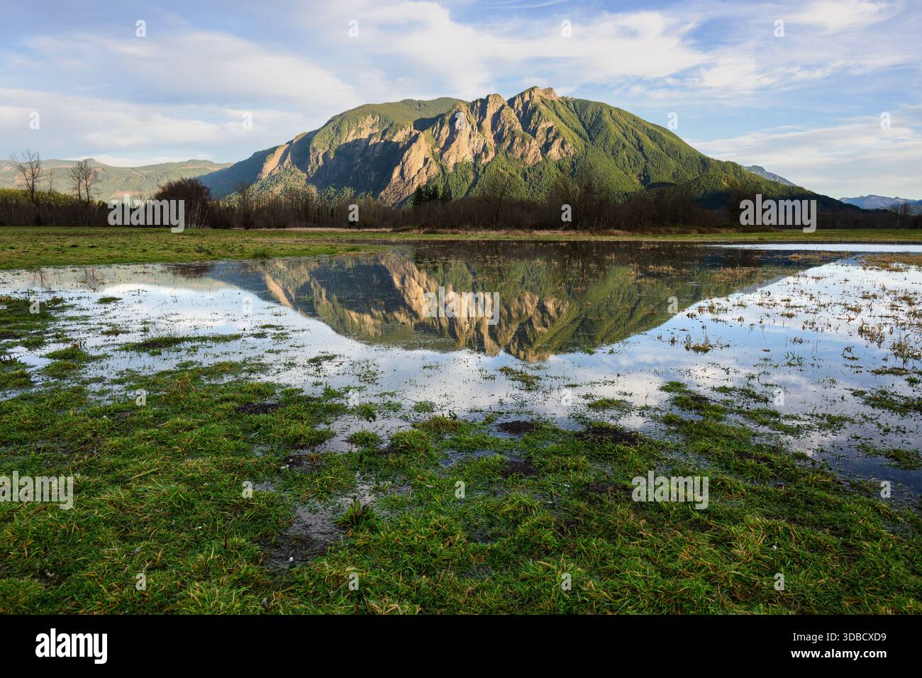 Il monte si si riflette in terreni agricoli allagati in inverno con prato verde in primo piano Foto Stock