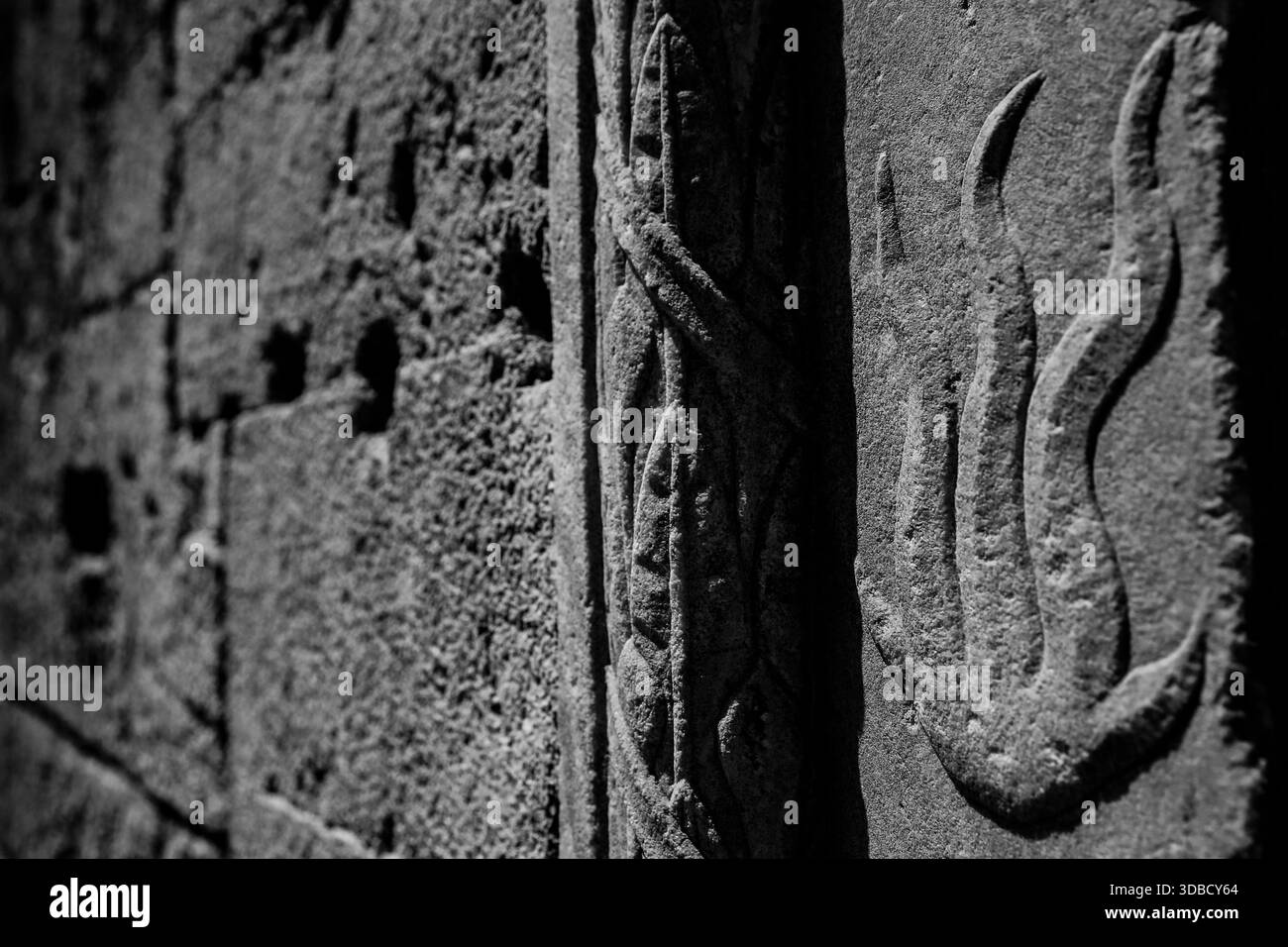 Vista ravvicinata del rilievo in pietra scolpita su un muro medievale nella città vecchia di Rodi, Grecia. Foto Stock
