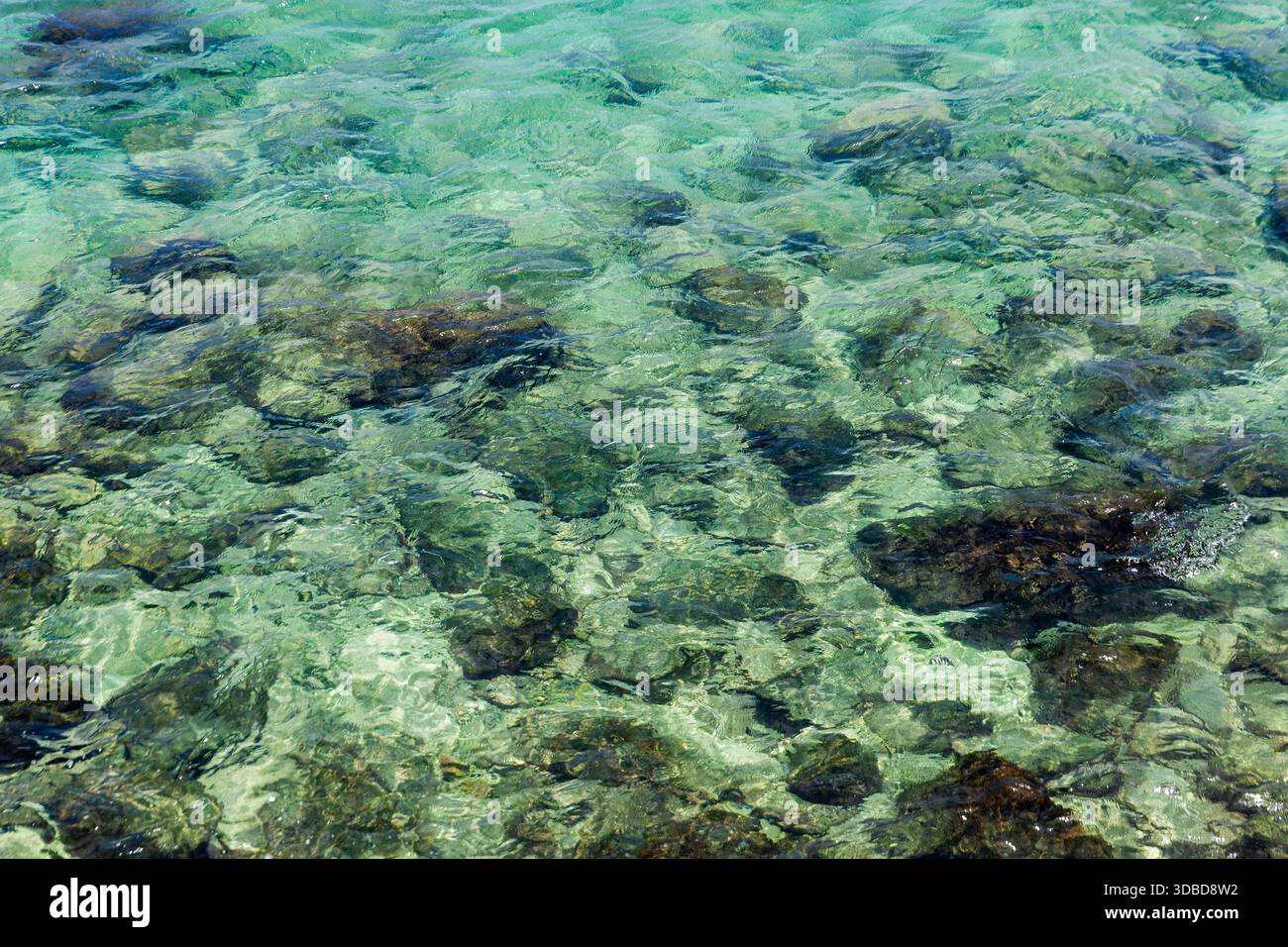 Acqua color smeraldo trasparente e cristallina con rocce visibili sotto la superficie ondulata, che riflettono la luce del sole in un tranquillo paesaggio marino. Pulito e liscio Foto Stock