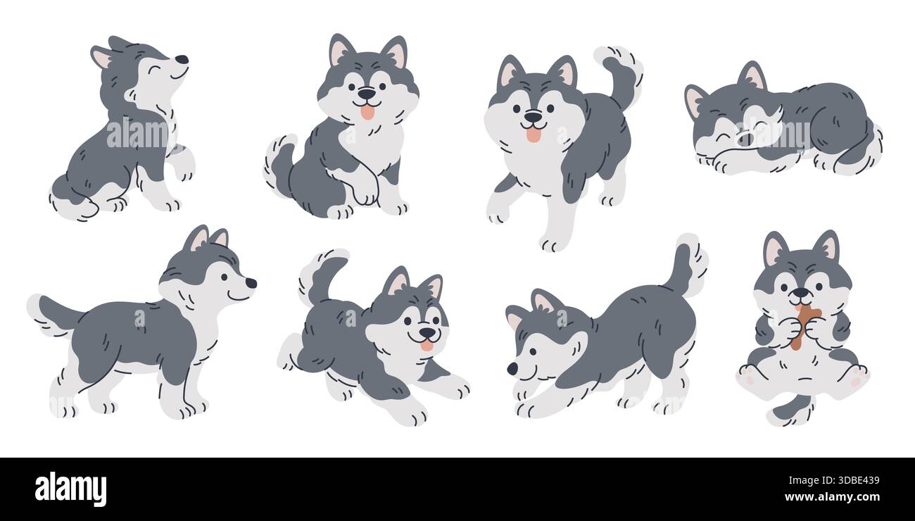Carino carattere husky. Razza animale, lana spessa, adorabile animale in diverse pose, cani da slitta nord per slitta, divertente gioco di cuccioli malamuti, cartone animato Illustrazione Vettoriale