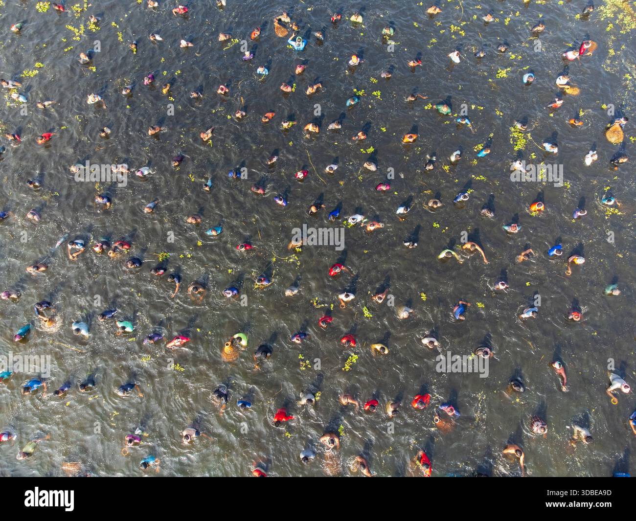 Pabna, Bangladesh - 30 novembre 2024: Veduta aerea del vivace festival tradizionale della pesca, dove centinaia di persone sono immerse nella palude fangosa Foto Stock