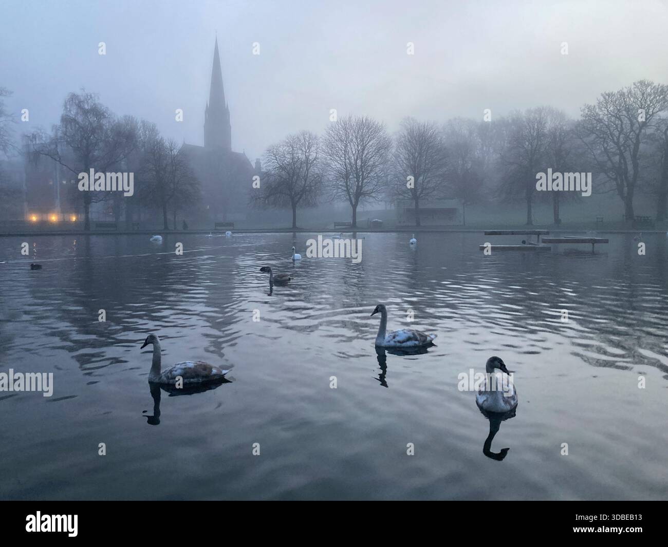 Glasgow, Regno Unito, 16 dicembre 2025. Swans in the dark of Dawn on a nebbiosa mattina a QueenÕs Park, Glasgow, Scozia, 16 dicembre 2025. Crediti immagine: Jeremy Sutton-Hibbert/ Alalmy Live News Foto Stock