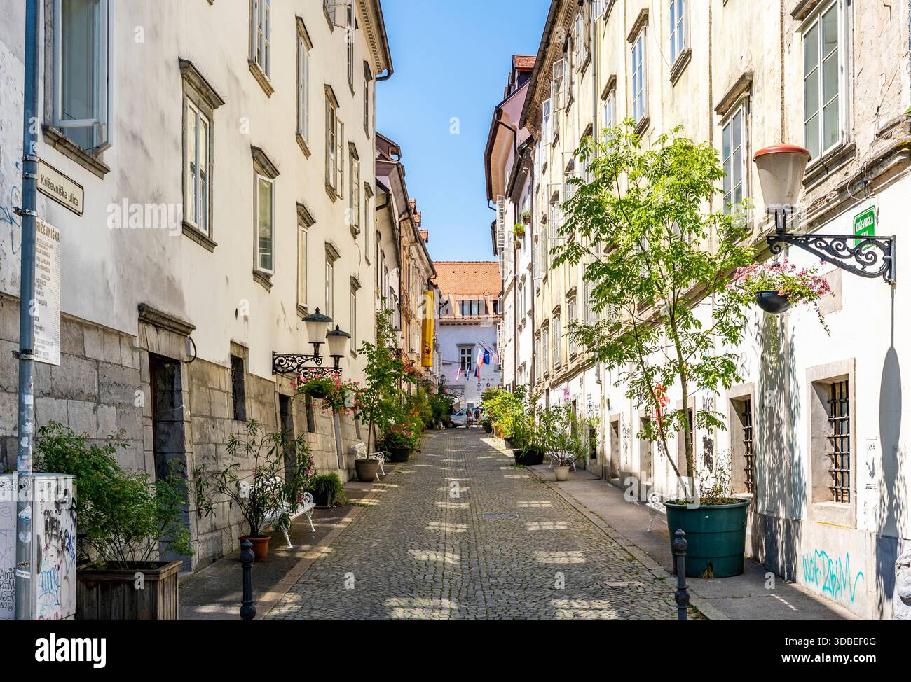 Picturestque Krizevniska ulica, con edifici residenziali e arricchiti da alberi e piante, nel centro di Lubiana, Slovenia Foto Stock