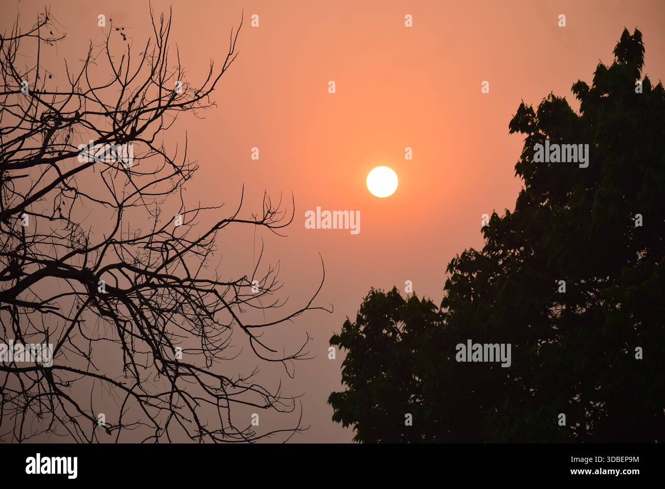 Una splendida vista mattutina - luce calma e nuovi inizi Foto Stock