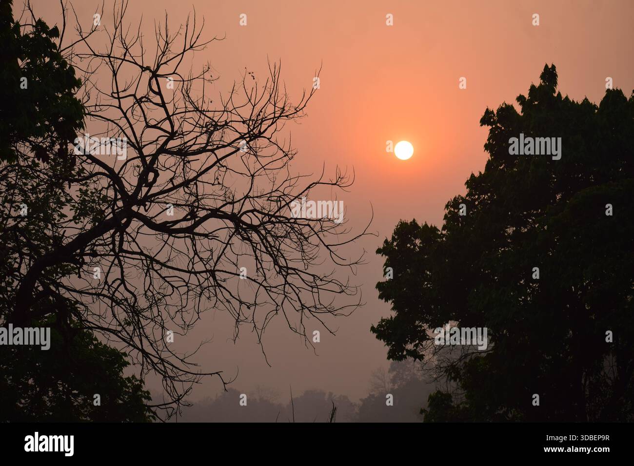 Una splendida vista mattutina - luce calma e nuovi inizi Foto Stock