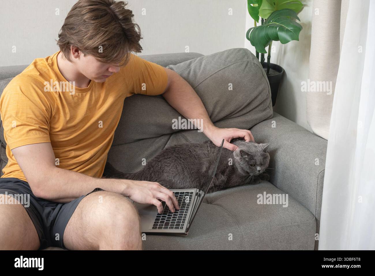 Lavorare su un computer portatile seduto sul divano con un gatto nelle vicinanze, giovane uomo caucasico che bilancia il lavoro a distanza e la cura degli animali domestici a casa. Uomo che passa del tempo con il suo gatto a casa Foto Stock