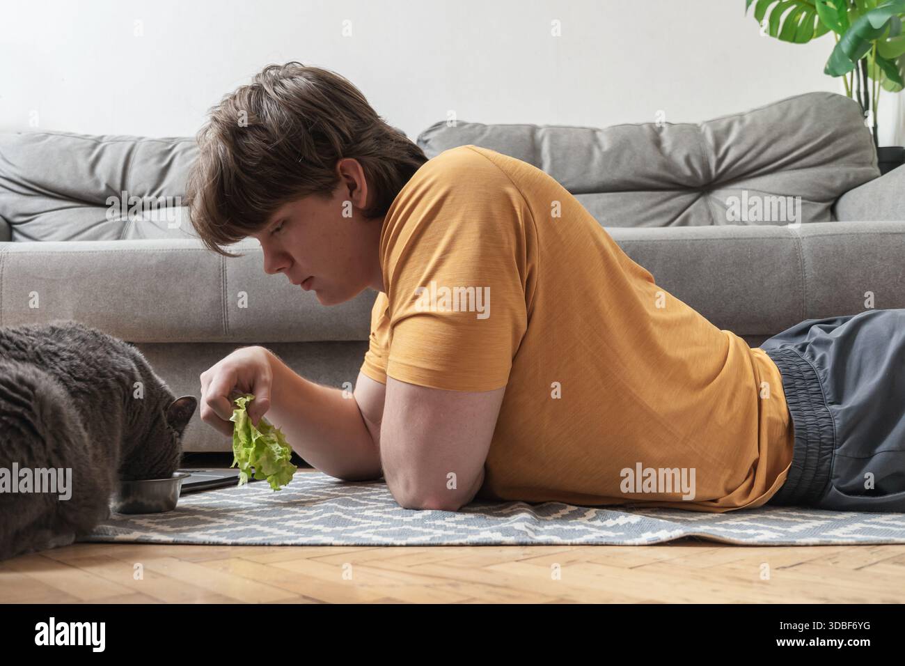 Guardare un gatto mangiare da una ciotola mentre si sdraia sul pavimento, giovane uomo caucasico adulto che si diverte tranquillamente con il suo animale domestico a casa. Uomo che passa del tempo con Hi Foto Stock