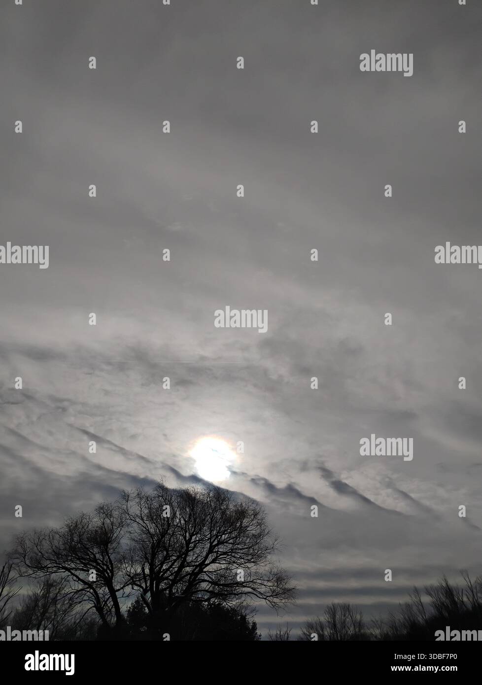 Cielo invernale monocromo drammatico pieno di nuvole grigie texture sopra una linea di alberi in controluce scura nella campagna del Massachusetts Foto Stock