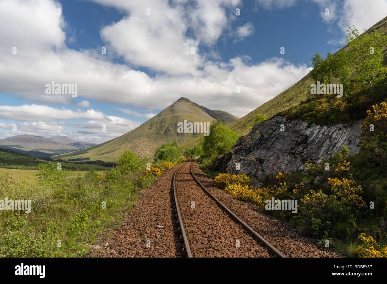 I binari ferroviari color ruggine si snodano attraverso una valle verde fiancheggiata da colline rocciose e dalla luminosa erica, sotto un cielo blu con nuvole bianche, vicino a Ben Dorain Foto Stock