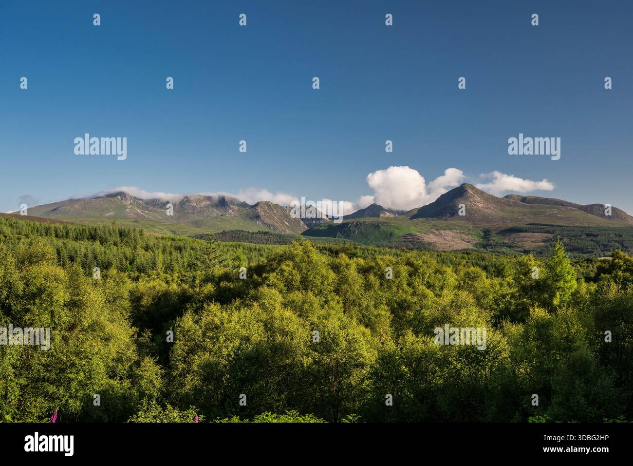 Un vasto paesaggio caratterizzato da una catena montuosa lontana che si innalza sopra una fitta foresta verde. Il cielo blu brillante con nuvole sparse crea un sereno, na Foto Stock