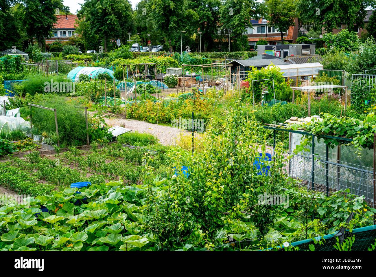 Vista dei giardini della comunità in città Foto Stock