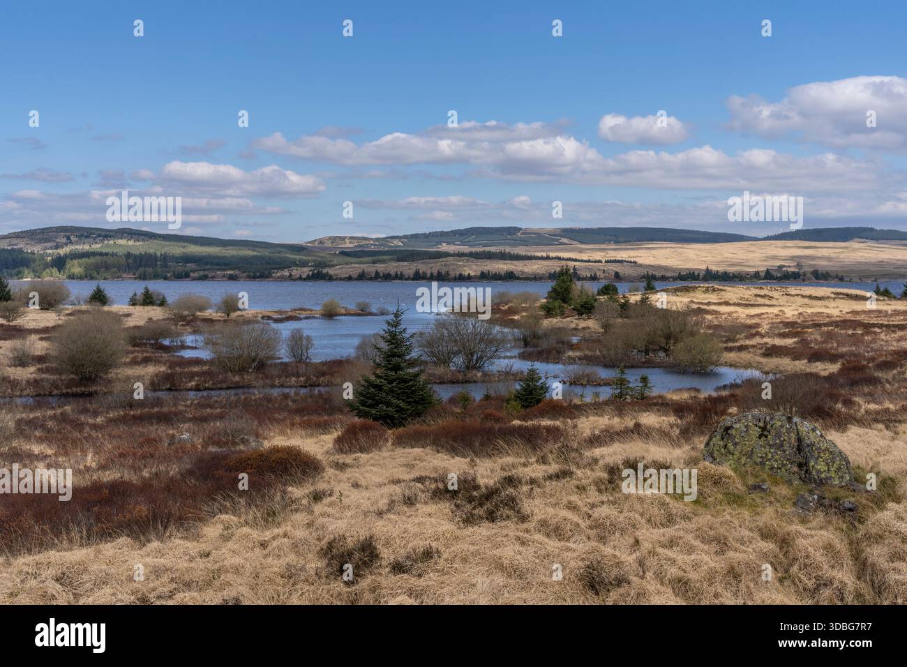 Ampio paesaggio lacustre di Loch Doon con brughiera, erba e calme acque blu sotto il cielo limpido. Foto Stock