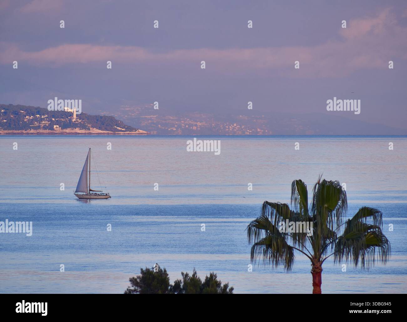 Calmo scenario marino con barca a vela, palme e costa lontana al tramonto sull'acqua blu Foto Stock