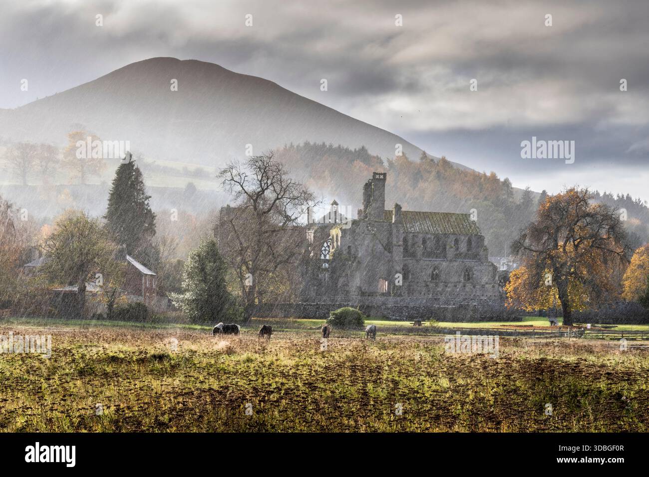 Scena autunnale all'Abbazia di Melrose con pioggia e nebbia sulle colline, creando un paesaggio tranquillo e storico. Foto Stock