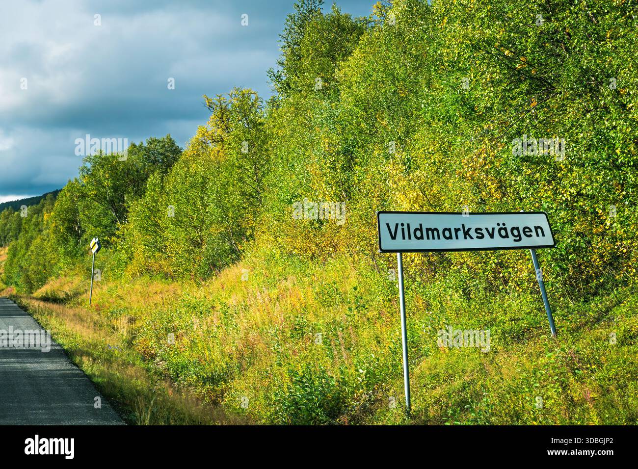 Cartello stradale Vildmarksvagen in piedi lungo una strada asfaltata vuota, che si snoda tra alberi autunnali verdi e gialli e paesaggi selvaggi sotto un cielo spettacolare Foto Stock