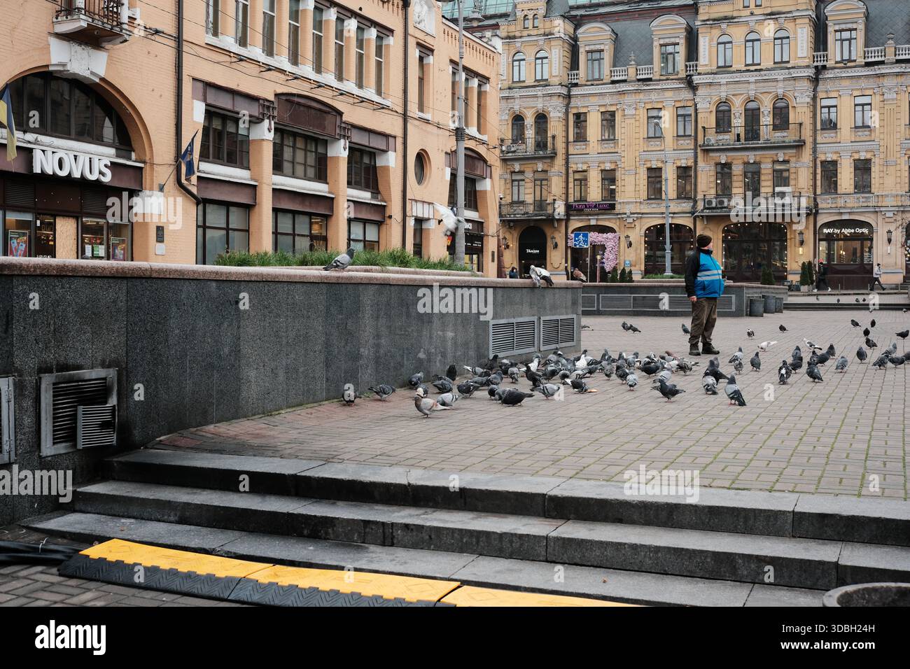 Una persona sta dando da mangiare ai piccioni in una tranquilla piazza della città quando cala la sera. Metrograd. Kiev, Ucraina. 16 dicembre 2025. Foto Stock