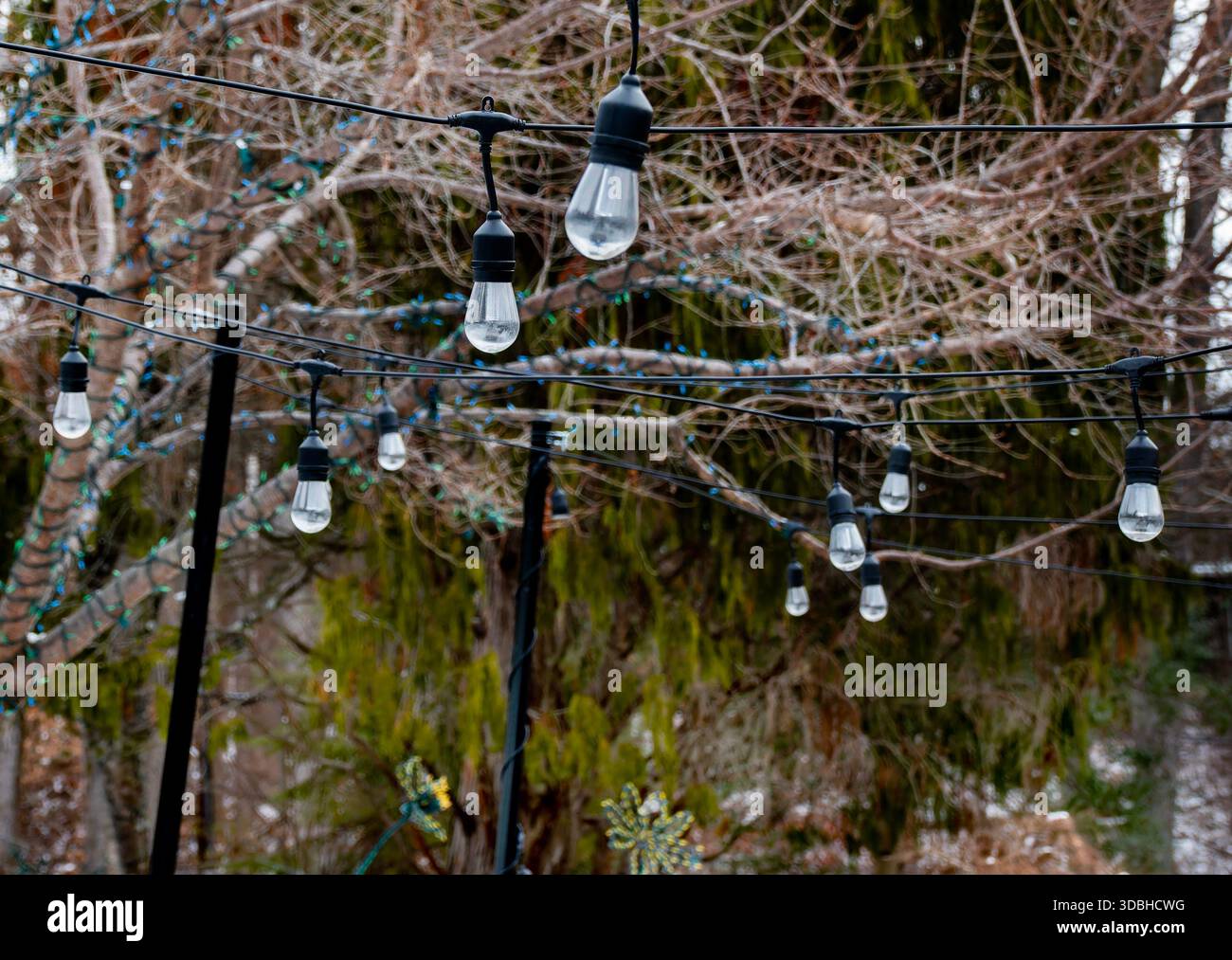 Illuminazione all'aperto in un parco municipale. Foto Stock
