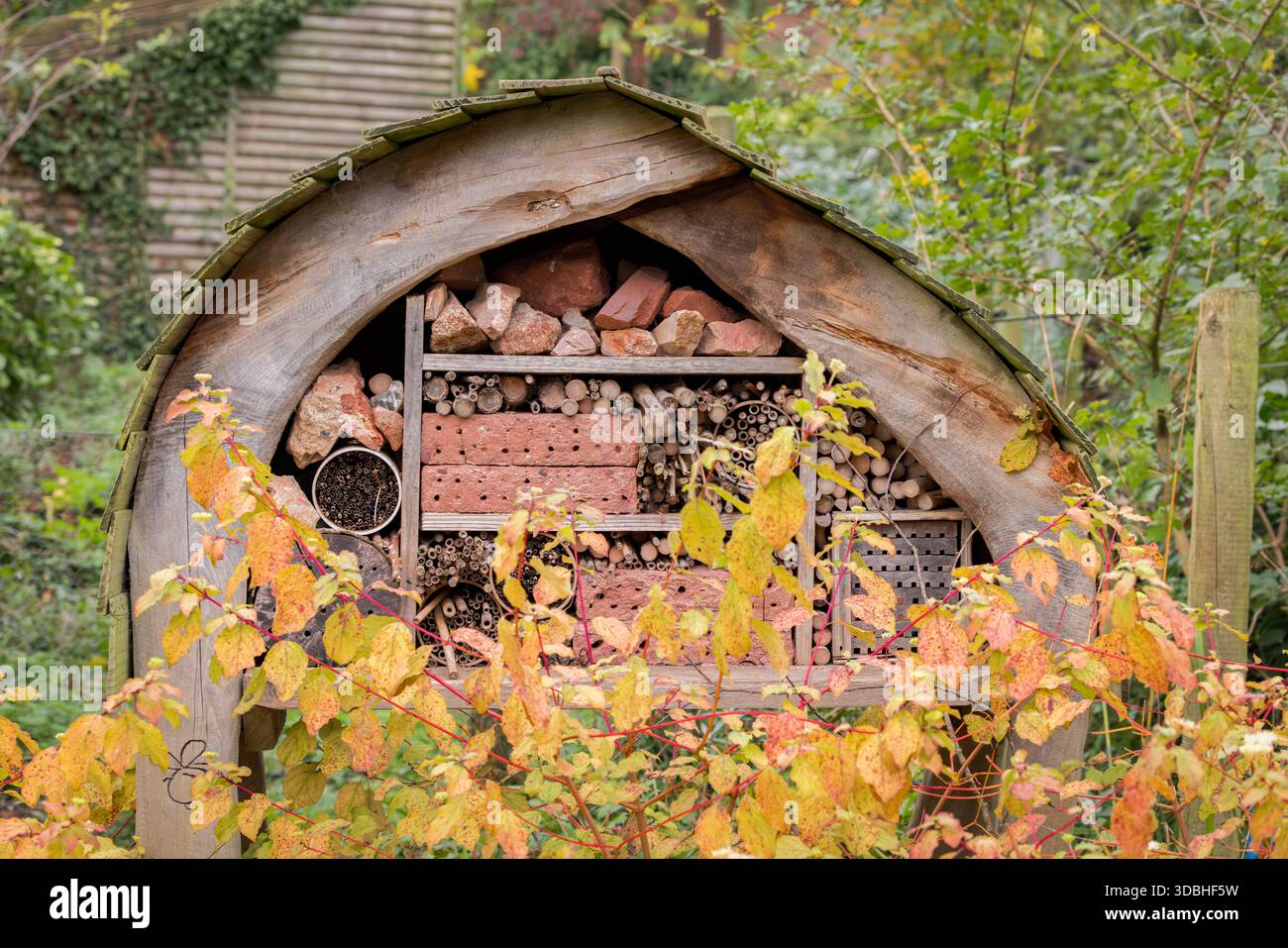 Large Bug Hotel a Devon, Regno Unito Foto Stock