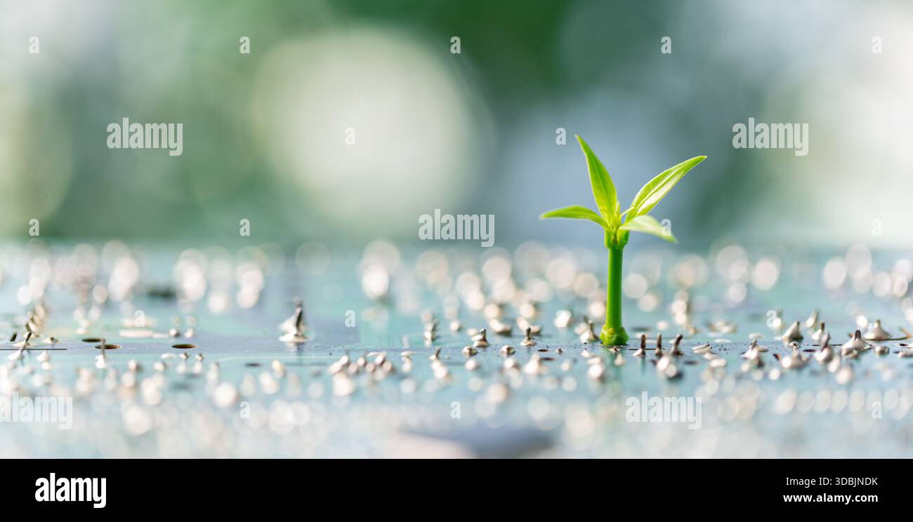 I progressi nel campo dell'elettronica e della tecnologia digitale stanno favorendo innovazioni di ingegneria ecocompatibile, le aziende tecnologiche sviluppano hardware ecocompatibile e design di chip t Foto Stock