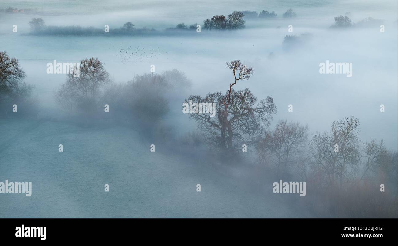 Veduta aerea delle nebbie eteree della valle del Tamigi, che oscurano il paesaggio e gli alberi in un abbraccio spettrale, Oxfordshire, Regno Unito. Foto Stock
