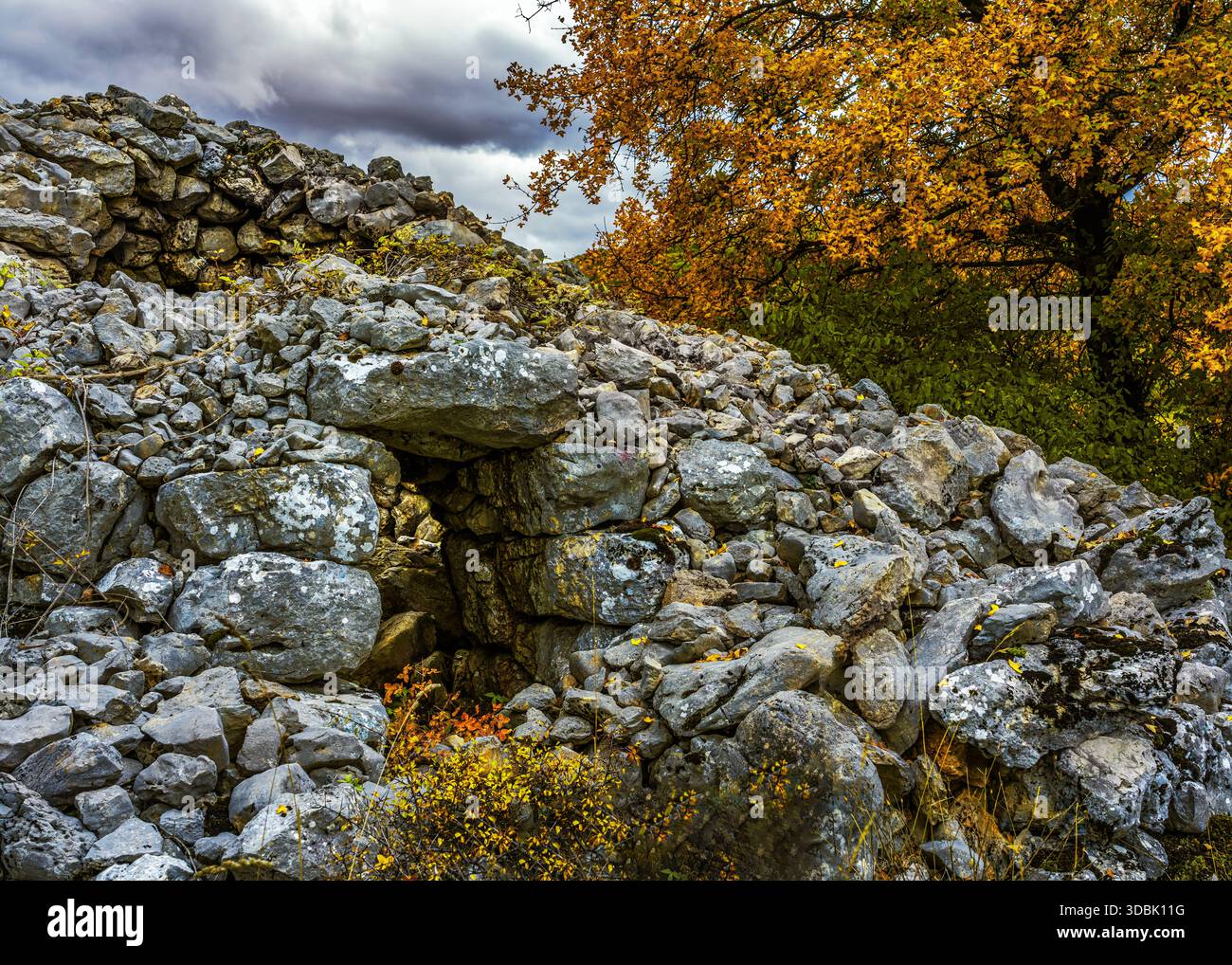 Un vecchio rifugio di pastori Tholos in pietra secca, annidato in un paesaggio naturale sotto un albero di quercia dalle sfumature autunnali. Abruzzo, Italia, Europa Foto Stock